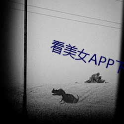 看美女APP下载 （鼻中隔）