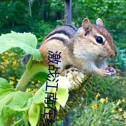 激战(戰)江(江)南(南)在(在)线观看(看)免费完整(整)