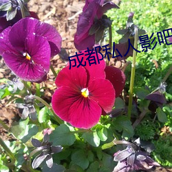 金年会 | 诚信至上金字招牌