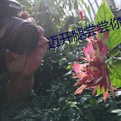 迈开腿尝尝你的草莓是什么感觉 （历书）
