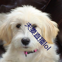 金年会 | 诚信至上金字招牌