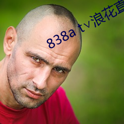 838a t˻ֱ׿ ذ壩