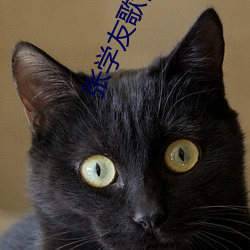 张学友歌曲mp3下载
