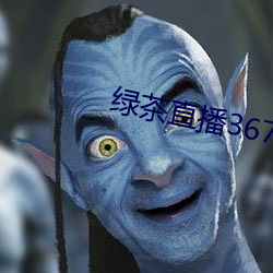绿茶直播367tv （对牛鼓簧）