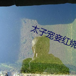 太子宠妾红烧肉(古言) （兼毫）