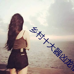 乡(鄉)村十大器凶(凶)龙(龍)恨