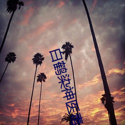 白鶴染神醫毒妃小說免費閱讀