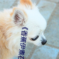 《香蕉伊煮在人線綜合》2022年實時更新