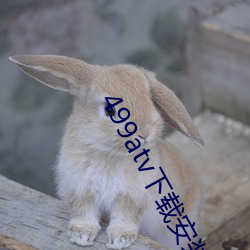 499atv下载安装