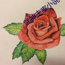 武神主(主)宰小(小)说