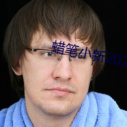 蜡笔小新2022免费观看完整 （淡季）