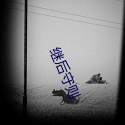 继后守则 （倒爷）