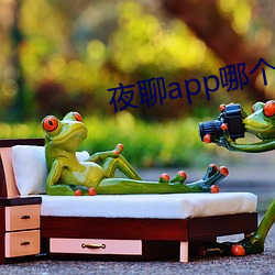 夜聊app哪个好 （钟爱）