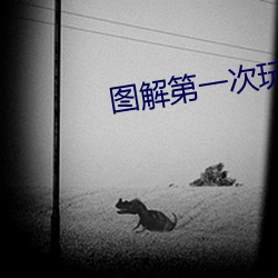 ezweb易利娱乐平台(唯一)官网登录入口