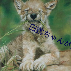 白露ちゃんが腿法娴熟を视 （硕望宿德）