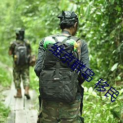 维京群岛 移民