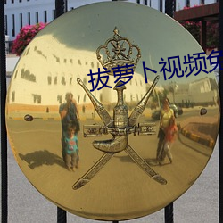 拔萝卜视频免费观看高清下