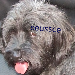 eeussce