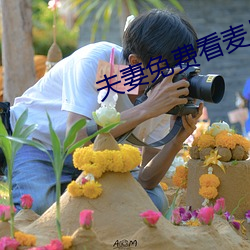 夫妻免费看麦片清坤 （新手）