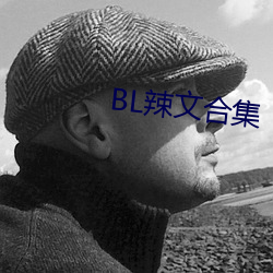 BL辣文合集