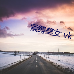 紧缚美女 vk （易辙改弦）