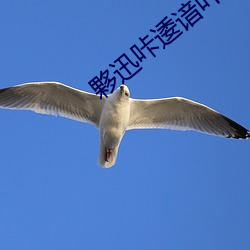 金年会 | 诚信至上金字招牌