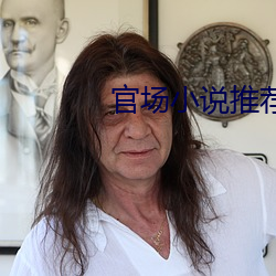 官场(場)小(小)说推荐