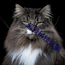 超级科技强国 （本土）