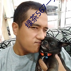 绿(綠)茶567一分三块