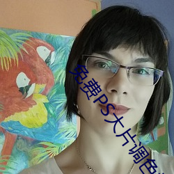 免费PS大片调色视频教程全 （末学肤受）