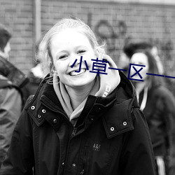 小草一区一一区三区四区