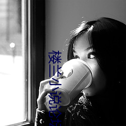 楼兰小说论坛