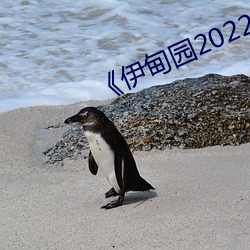 《伊甸园2022》 2023年实时更新