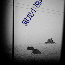 黑龙小说网(wǎng)