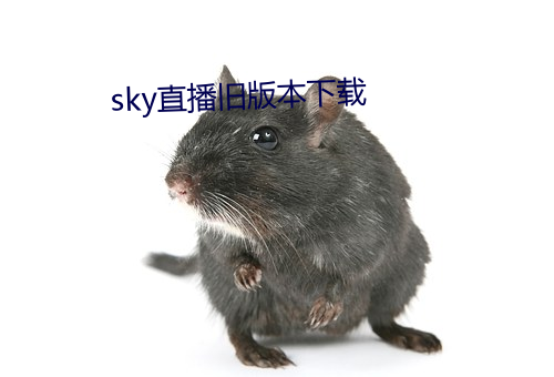 sky直播舊版本下載