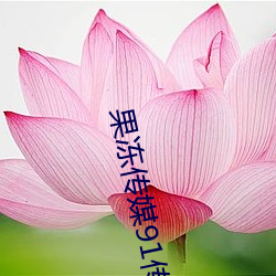 果冻传媒91传媒在线观看