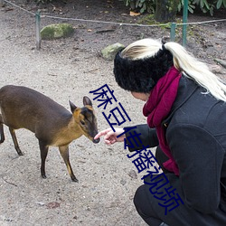 麻豆传播视频