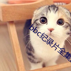 bbc纪录片全集迅雷