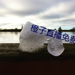 橙子(zi)直播免费下载软件