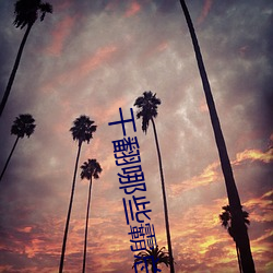 干翻哪些霸总们周蔚岐小说