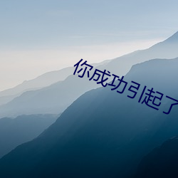 你成功引起了我的注意免費