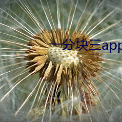 一分块三app （寒来暑往）