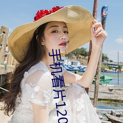 手机看片1204