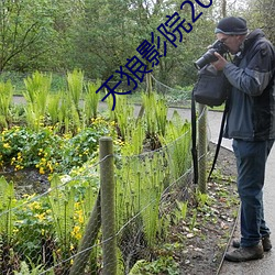 天狼影院2019最新电视(shì)剧在线观看