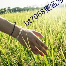 bt7068更(gèng)名(míng)为bt伙计