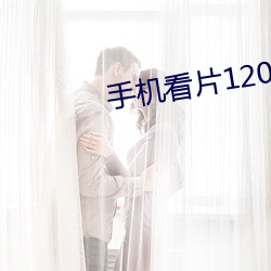 手机(機)看片1204