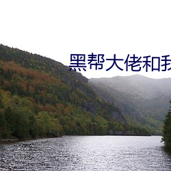 黑帮大佬和我的第365日未