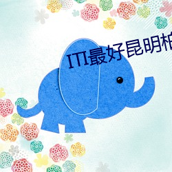 凯时|AG(AsiaGaming)优质运营商