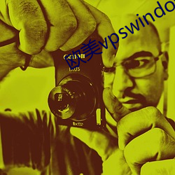歐美vpswindows另類