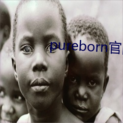 pureborn官网(wǎng)入口拿(ná)走(zǒu)不谢